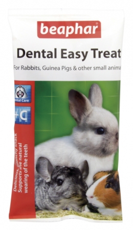 Small Animal Dental Care
